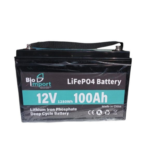 BateriaBio-Import-LiFePO4-12V-100Ah-_1