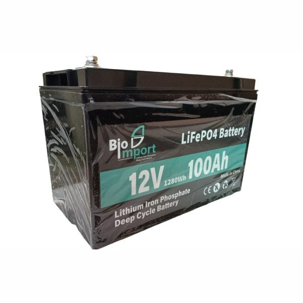 BateriaBio-Import-LiFePO4-12V-100Ah-_2
