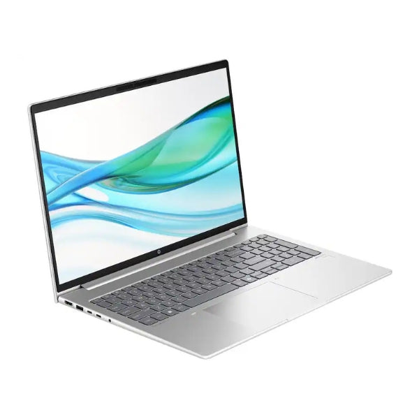 Laptop-HP-ProBook-465-G11-AMD-Ryzen-7-7735U-64GB-RAM-2TB-SSD-16-AMD-Radeon-Win-11-Pro-Pike-Silver
