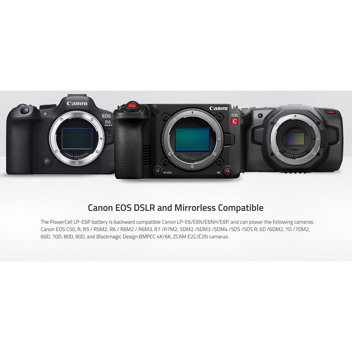 Batería SWIT PowerCell LP-E6P USB-C para Select Canon Cameras (2200mAh) - contenido de la caja
