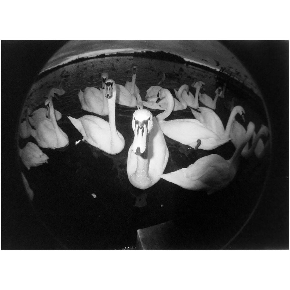 Cámara Analógica Lomography Fisheye No. 2 (Grape Jam) - puertos y conexiones