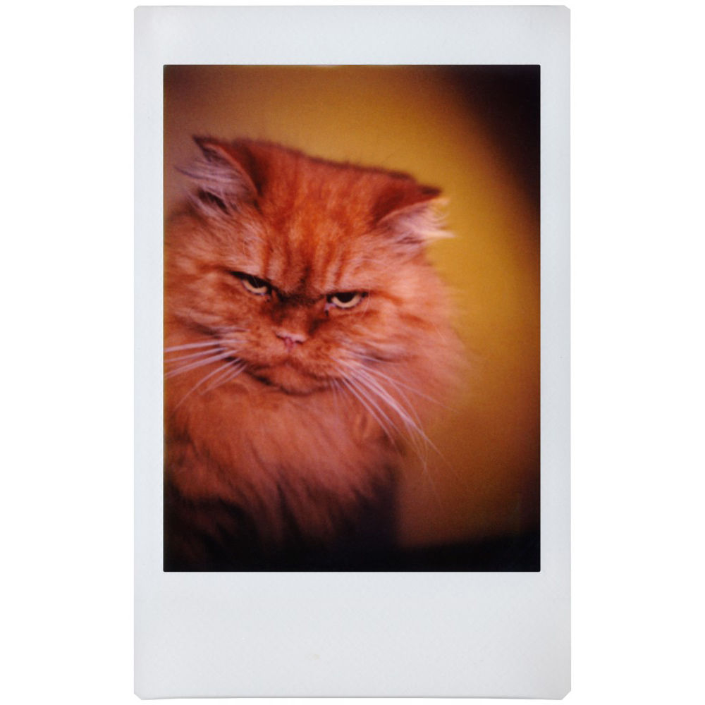 Cámara Analógica Lomography Lomo'Instant Automat Glass (Edición Magellan) - contenido de la caja