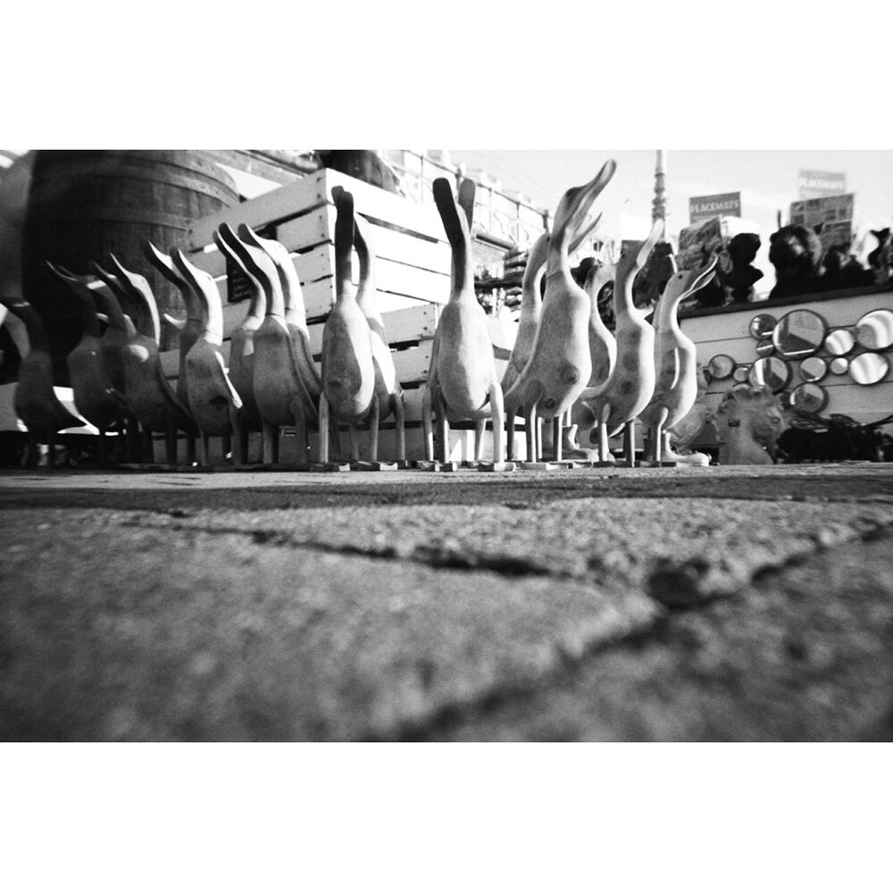 Cámara Analógica Lomography Simple Use Recargable Blanco y Negro (Rollo de 27 Exposiciones) - en uso