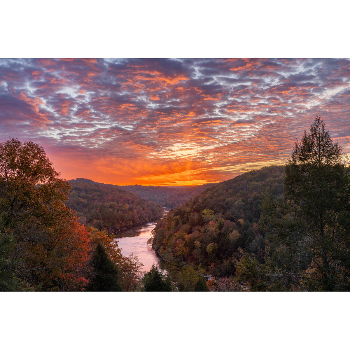 Cámara Digital Canon EOS R6 Mark III Mirrorless