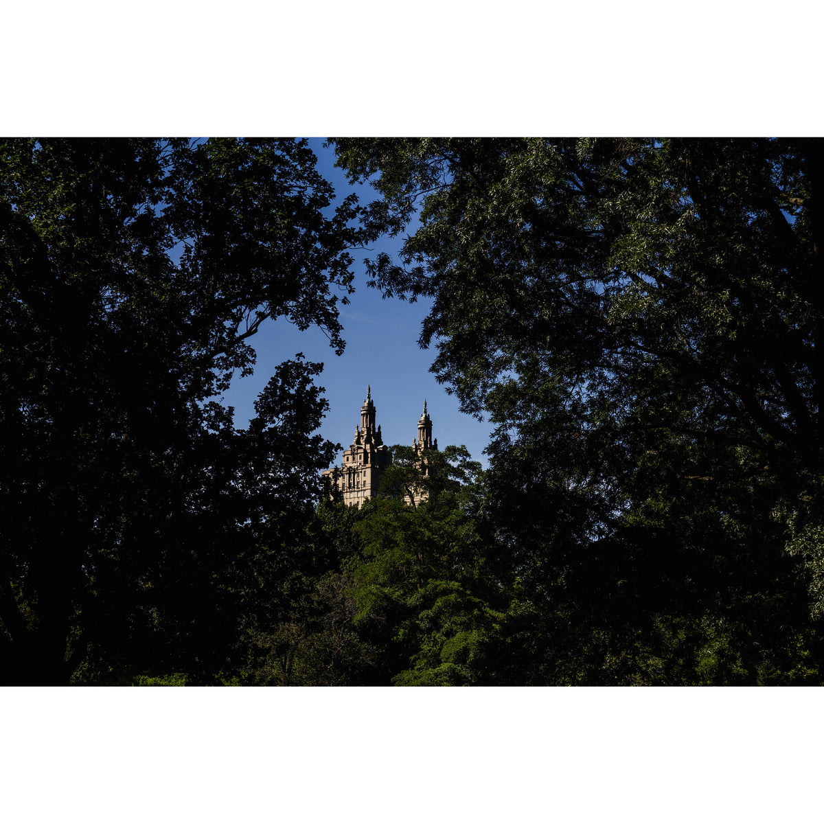 Cámara Digital Canon EOS R8 Mark II Mirrorless