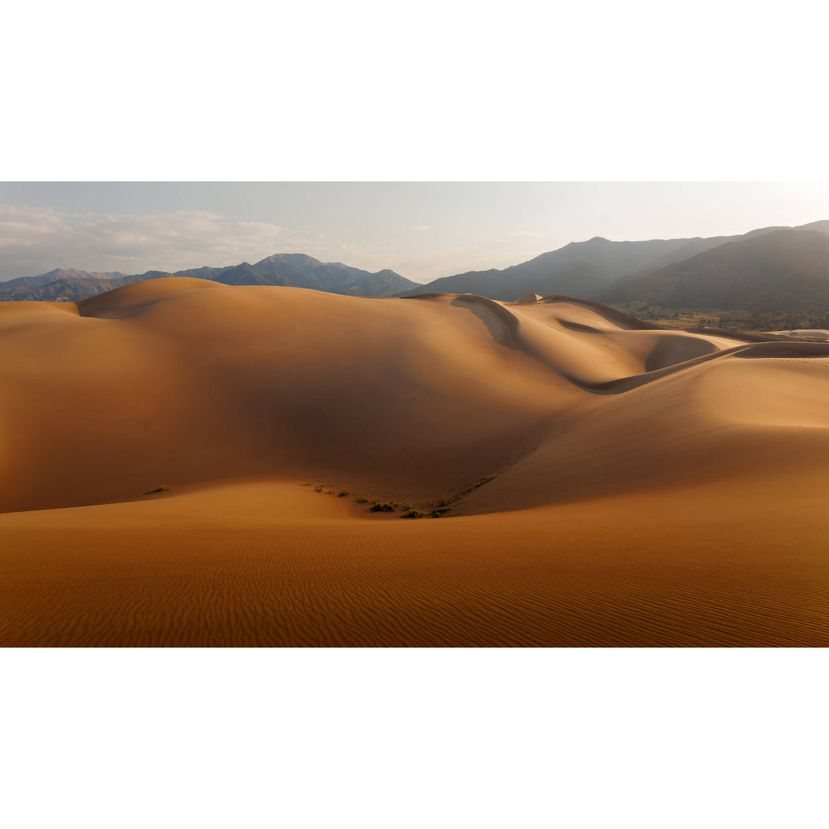 Cámara Digital Canon EOS R8 Mark II Mirrorless
