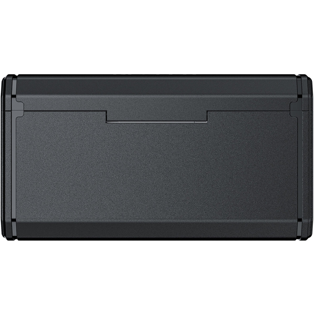 Cargador TELESIN NP-BX1 Portable Charging Case - vista trasera