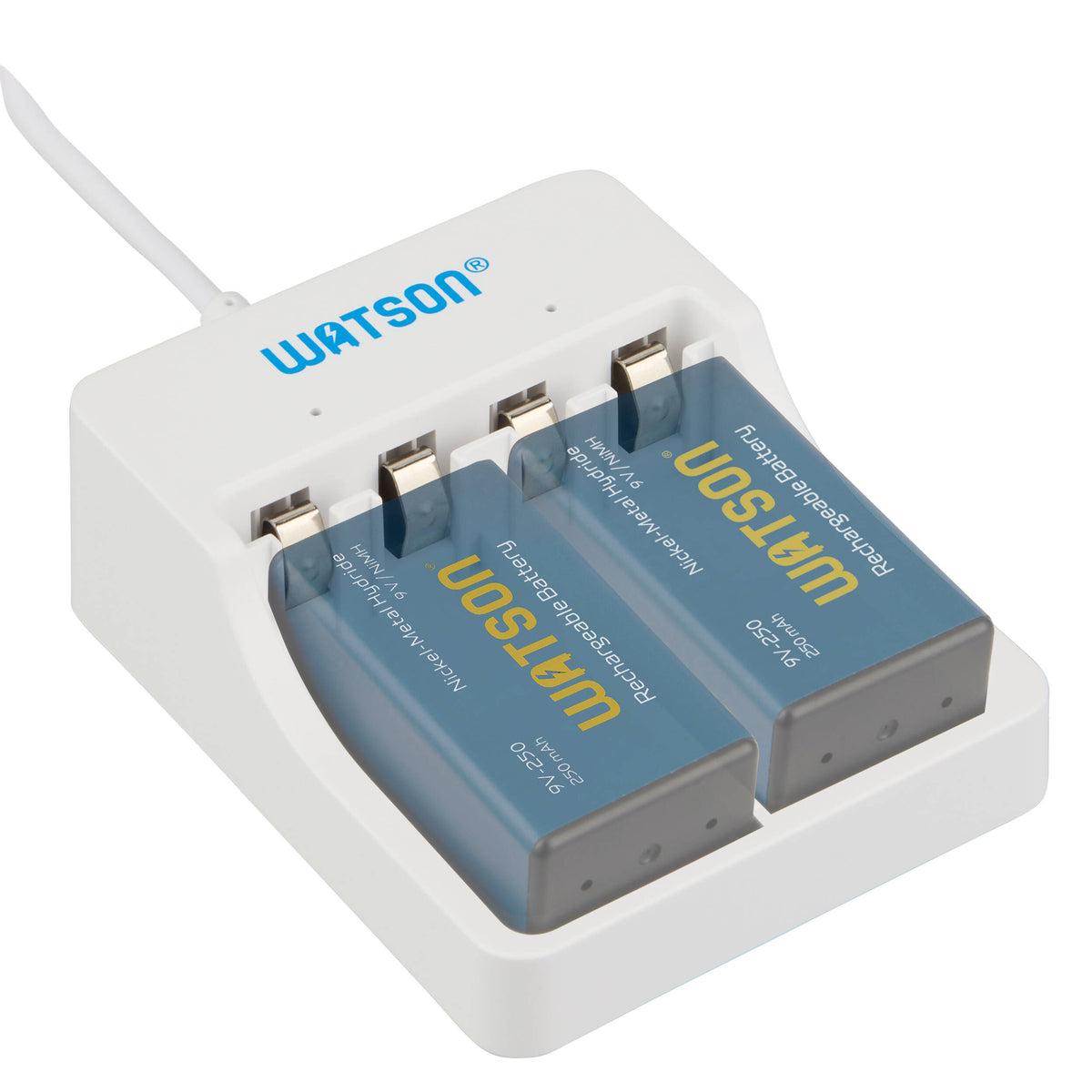 Cargador Watson 2 bahías USB-C para 9V recargables - vista principal