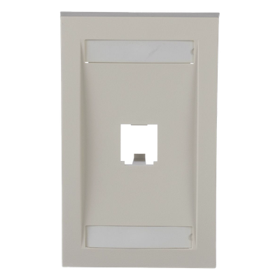 Placa de Pared Vertical Ejecutiva Panduit CFPE1IWY Blanco