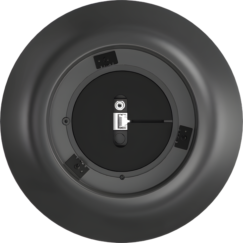 Altavoz Colgante Analógico Hikvision DSQAZ0530G1/BLACK 30 W