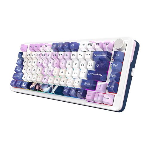 Redragon MCK681C Cyrus PRO RGB 75% Wireless Gaming Keyboard - White
Custom Gray Linear Sw — vista 2