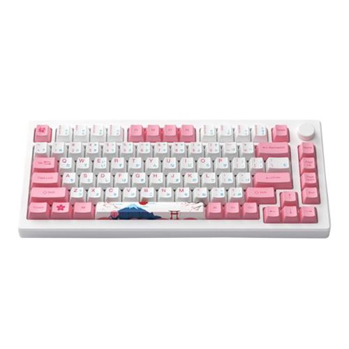 Akko MOD007B PC Tokyo Wireless Keyboard
Kailh Sakura Pink Magnetic Switch — vista 2
