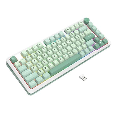 Redragon MCK681 Cyrus PRO RGB 75% Wireless Gaming Keyboard - Green
Custom Gray Linear Swi — vista 3