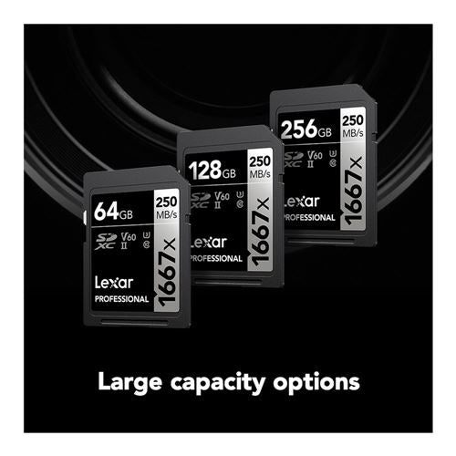 Lexar 128GB Professional 1667x UHS-II SDXC SD Flash Memory Card — vista 3