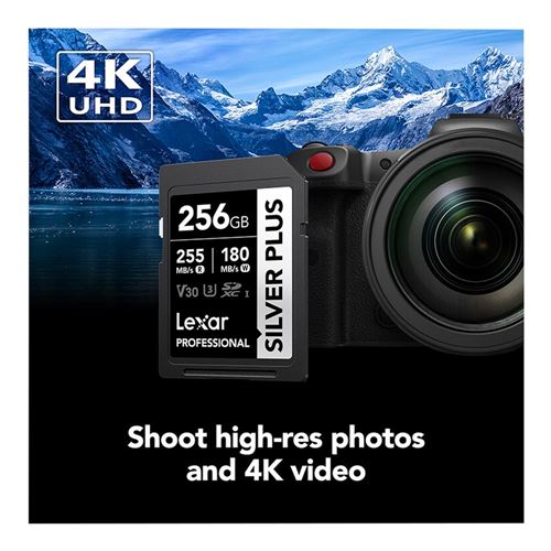 Lexar 256GB Professional SILVER PLUS UHS-I SDXC Class 10 U3 V30 Flash Memory Card — vista 4