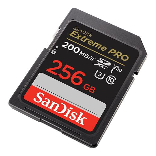 Sandisk 256GB Extreme PRO SDXC Class 10 USH-I V30 Flash Memory Card — vista 4
