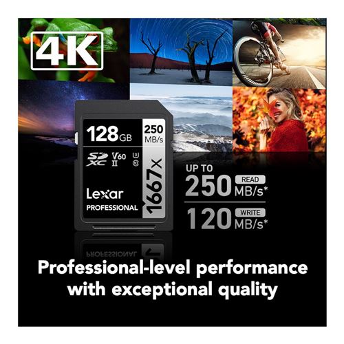 Lexar 128GB Professional 1667x UHS-II SDXC SD Flash Memory Card — vista 6