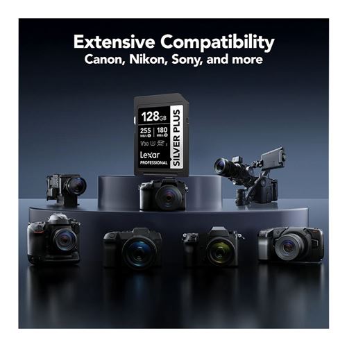 Lexar 128GB Professional SILVER PLUS UHS-I SDXC Class 10 U3 V30 Flash Memory Card — vista 6