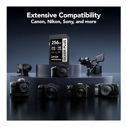 Lexar 256GB Professional SILVER PLUS UHS-I SDXC Class 10 U3 V30 Flash Memory Card — vista 6