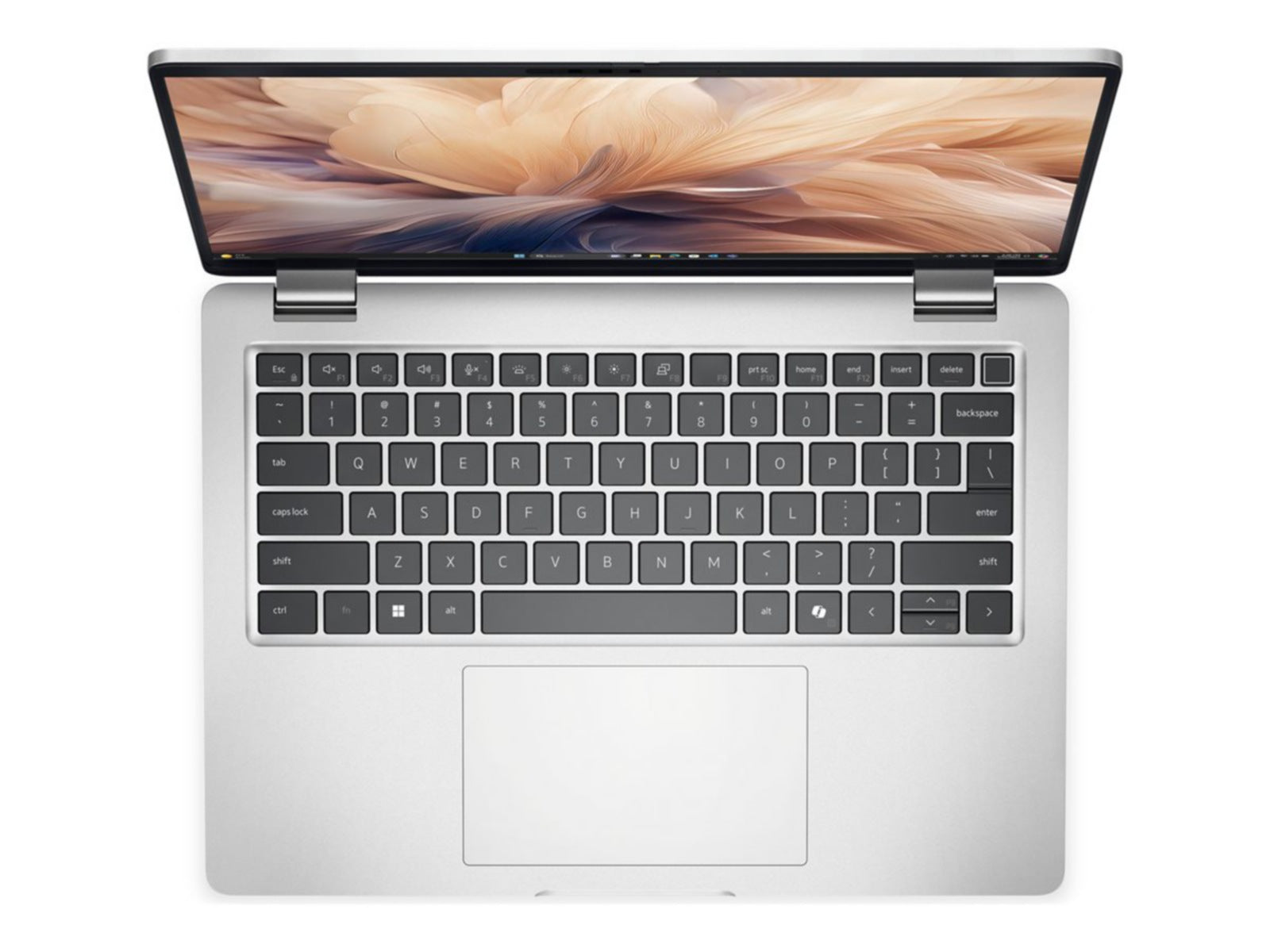 Laptop Dell Pro 14 Plus PB14250, Intel Core Ultra 5 235U 12 Núcleos, 16GB DDR5, 256GB TLC SSD, Intel Graphics - vista 5