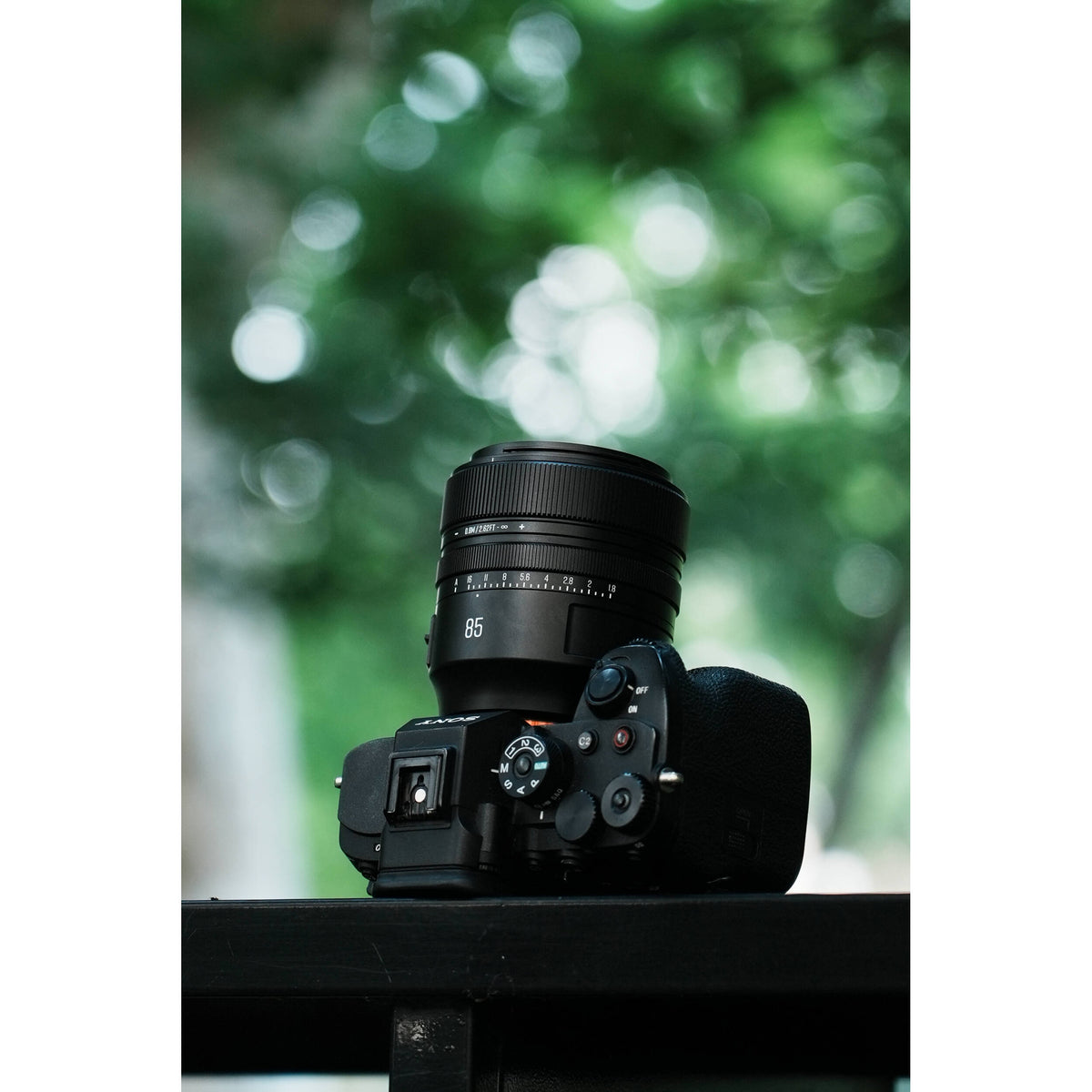 Lente Brightin Star AF 85mm f/1.8 - en uso