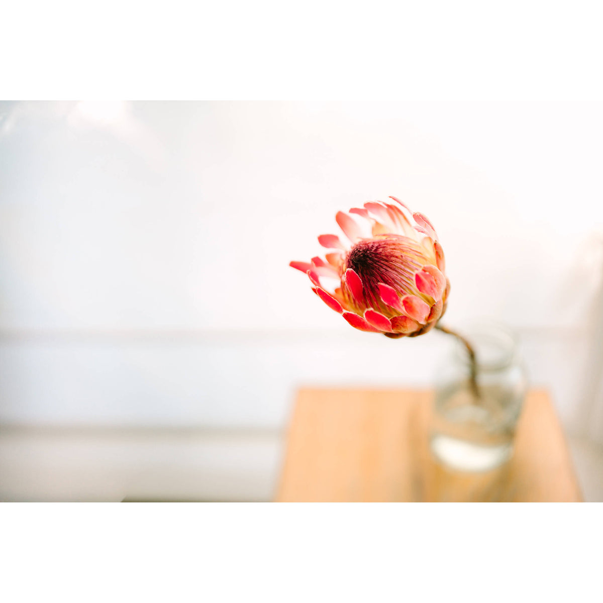 Lente Sigma 35mm f/1.2 DG II Art - contenido de la caja