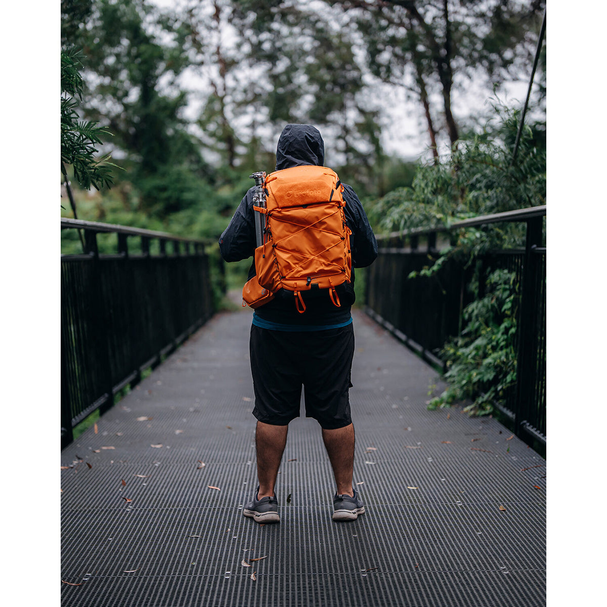 Mochila Leofoto todo en uno de viaje (Naranja, 35L) - vista trasera