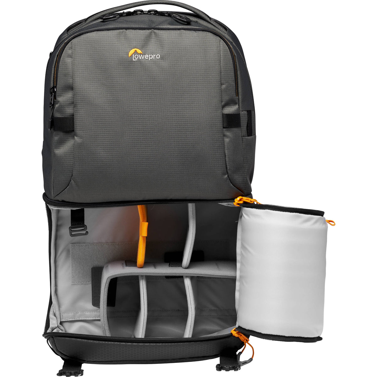 Mochila Lowepro Fastpack BP 250 AW III (Gris) - vista trasera