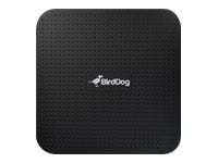 Sonido Profesional BirdDog 4K HDMI NDI to HDMI video/audio converter - vista 3