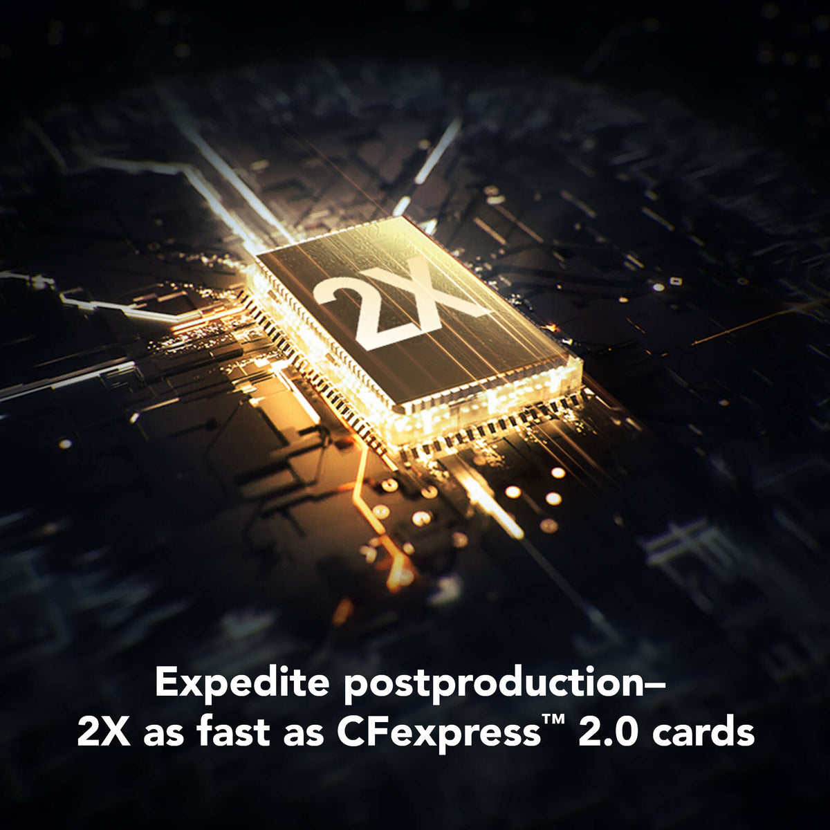Tarjeta CFexpress Type B Lexar 256GB Professional GOLD CFexpress 4.0 Type B - vista lateral