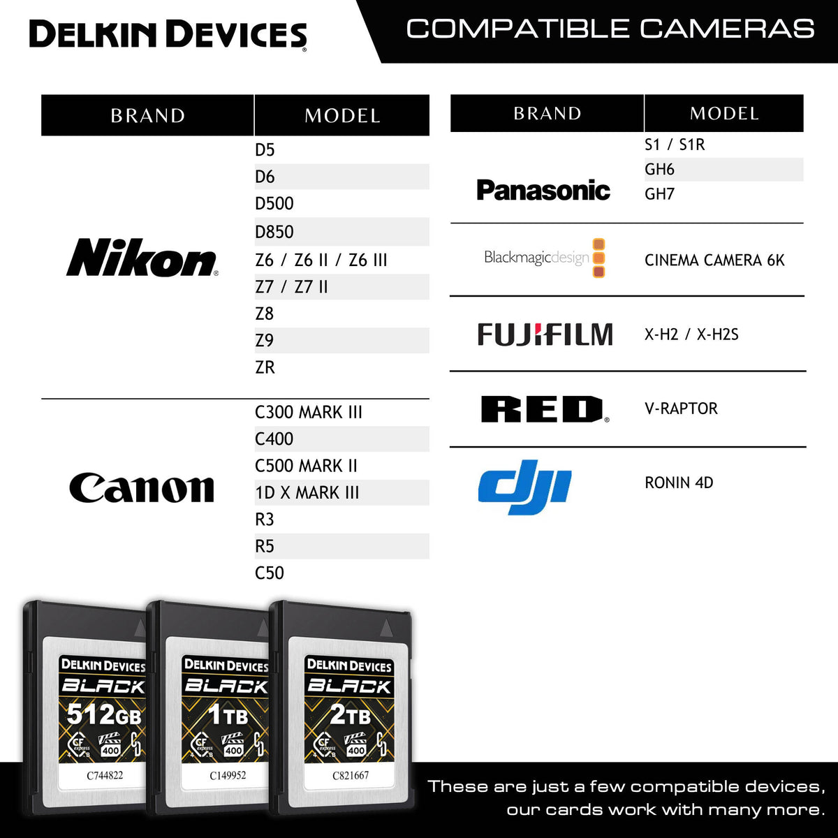 Tarjeta Delkin Devices 1TB BLACK CFexpress Type B 4.0 - detalle