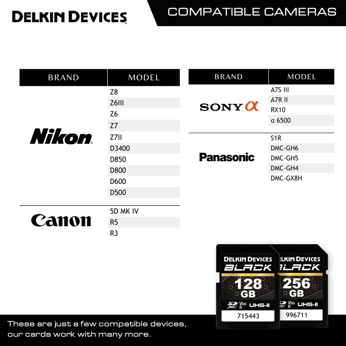 Tarjeta Delkin Devices 256GB BLACK UHS-II SDXC - en uso