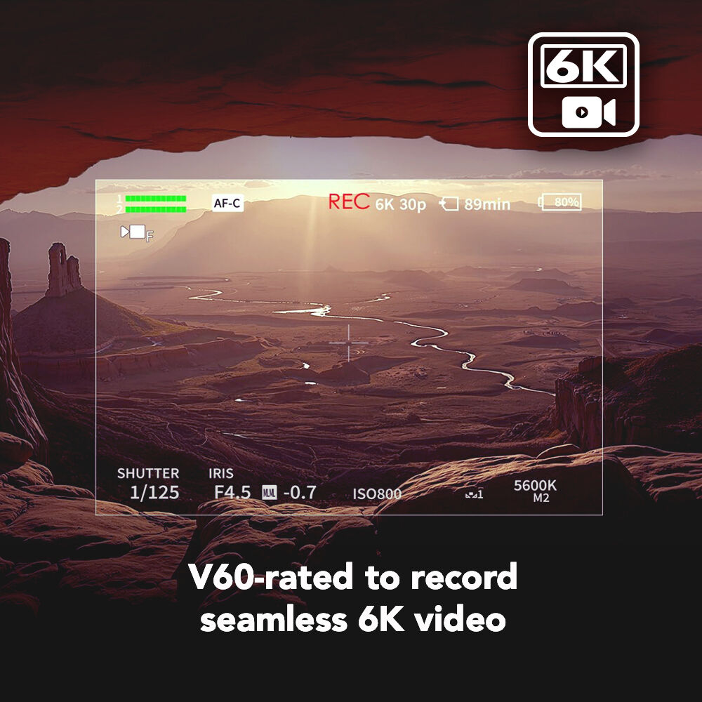 Tarjeta Lexar 128GB ARMOR GOLD UHS-II SDXC - puertos y conexiones