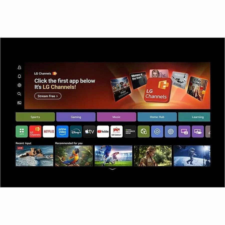 Televisor LG evo OLEDG6 OLED65G6WUA 64.5" Smart OLED TV 4K - vista 5