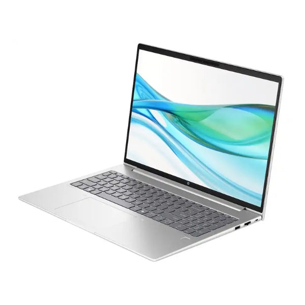 Laptop-HP-ProBook-465-G11-AMD-Ryzen-7-7735U-64GB-RAM-2TB-SSD-16-AMD-Radeon-Win-11-Pro-Pike-Silver