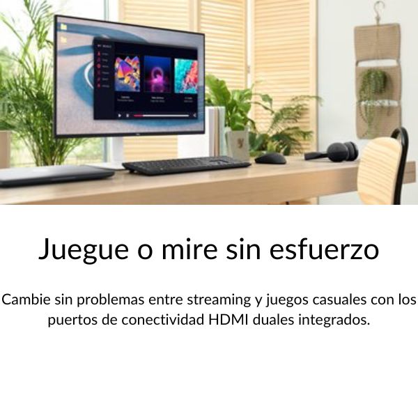 Monitor-Del-lS2725DS-texto-_2