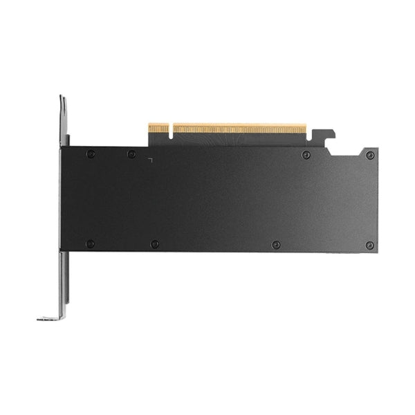 Tarjeta-gráfica-PNY-NVIDIA-RTX-PRO-2000-Blackwell-Single-Fan-16GB-GDDR7