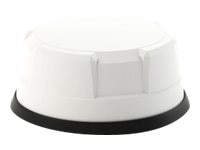 Antena Panorama Antennas LP-IN2443 Antenna - vista 1