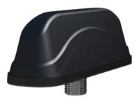 Antena Panorama Antennas Multifunction MiMo Antenna - vista 1