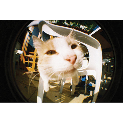 Cámara Analógica Lomography Fisheye No. 2 (Negro y Plateado) - detalle