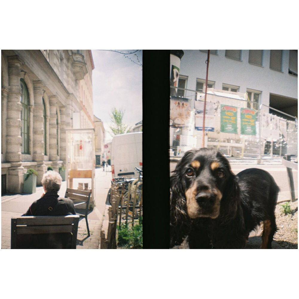 Cámara Analógica Lomography Half-Frame Lomourette (Picnic) - en uso