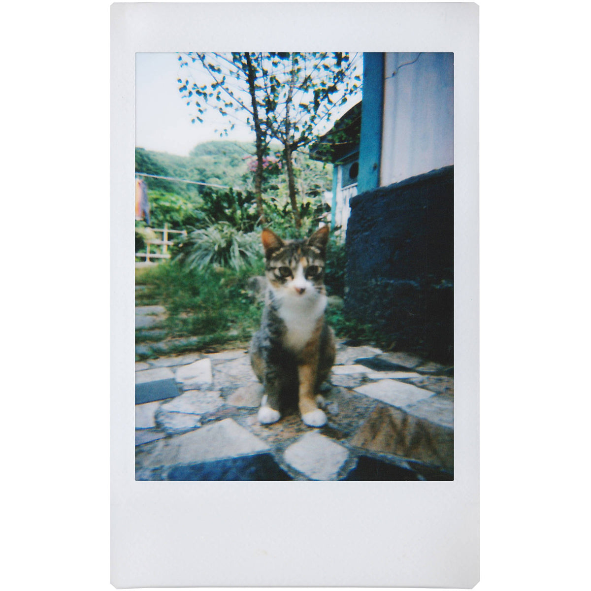 Cámara Analógica Lomography Lomo'Instant (Edición Negra) - puertos y conexiones