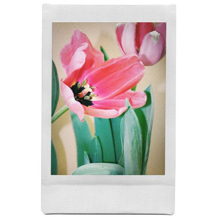 Cámara Analógica Lomography Lomo'Instant y 3 Lentes (Edición Song's Palette) - contenido de la caja