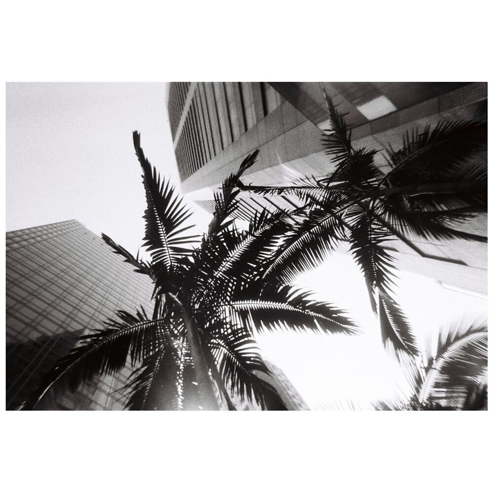Cámara Analógica Lomography Simple Use Recargable Blanco y Negro (Rollo de 27 Exposiciones) - puertos y conexiones
