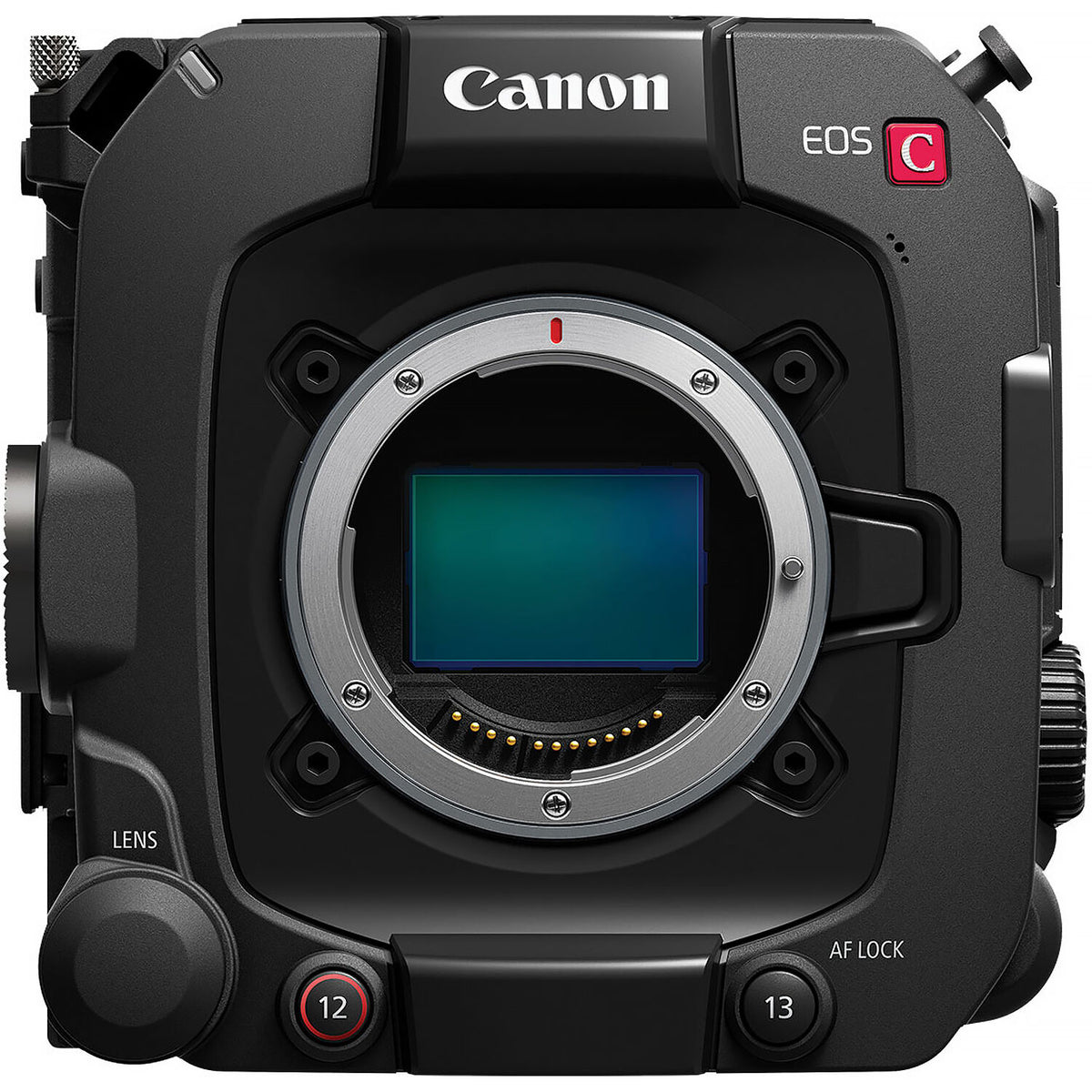 Cámara Digital Canon EOS C400 6K Kit con 24-105mm f/2.8 Lente Zoom (Canon RF) - contenido de la caja