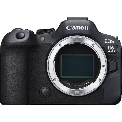 Cámaras Mirrorless (Sin Espejo)