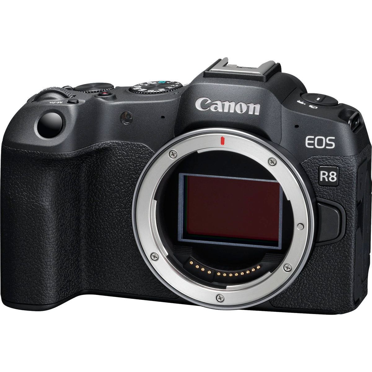 Cámara Digital Canon EOS R8 con Firmware de Guías de Recorte - vista principal