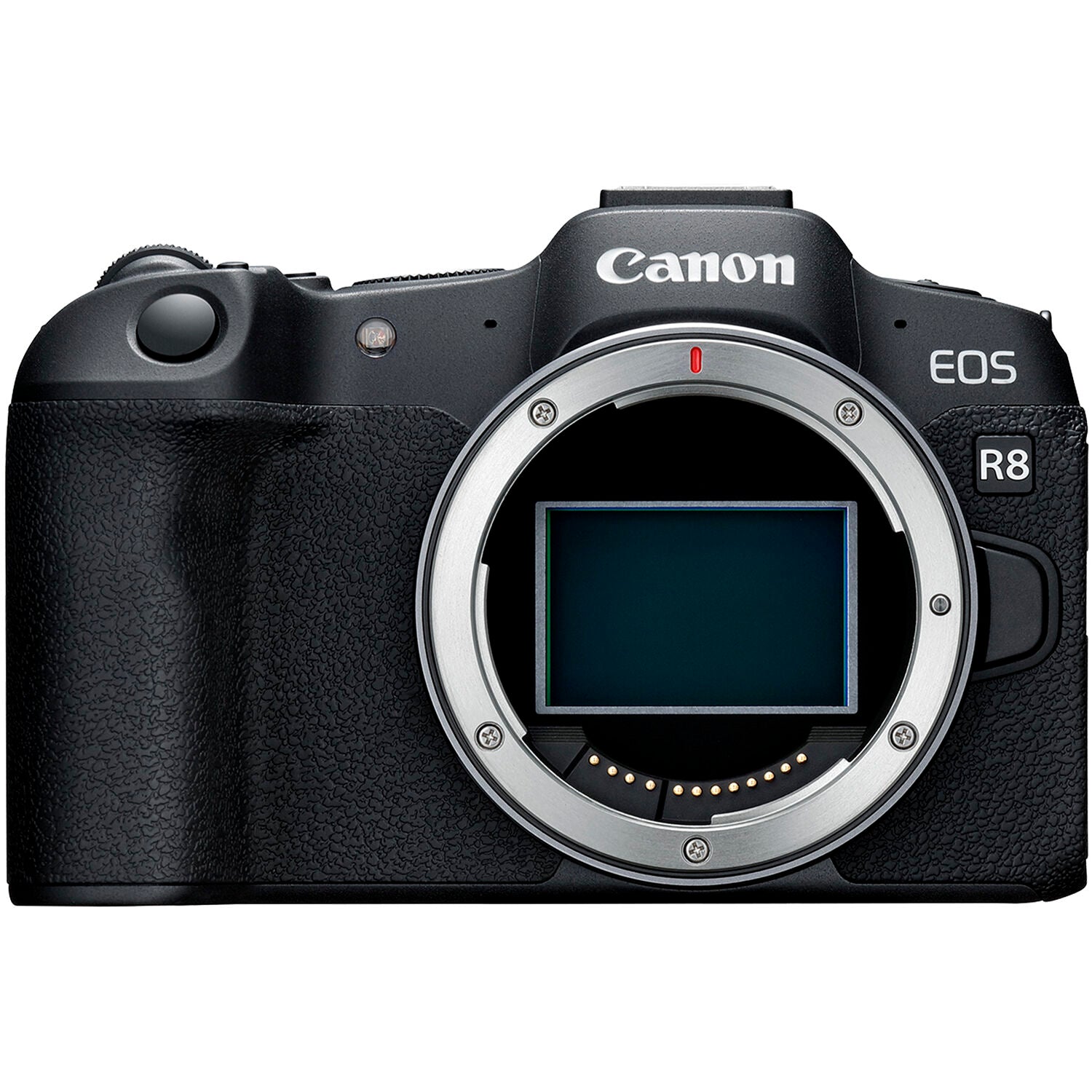 Cámara Digital Canon EOS R8 con Firmware de Guías de Recorte - en uso