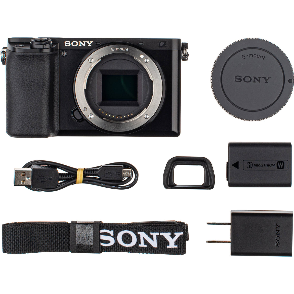 Cámara Digital Sony a6100 Mirrorless APS-C 24.2MP - en uso