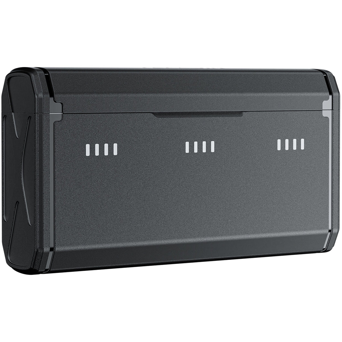 Cargador TELESIN NP-BX1 Portable Charging Case - vista principal
